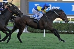Black Heart Bart to take on best WFA horses in Cox Plate