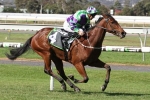 I Am A Star draws wide barrier in Sunline Stakes