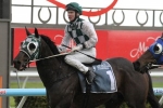 Esprit De Bullet Headlines Compass Handicap Field Esprit De Bullet Headlines Compass Handicap Field