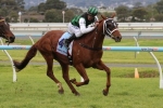 2015 Alice Springs Cup Field Released 2015 Alice Springs Cup Field Released