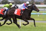 Hill Spy To Step Up In Class In Vain Stakes Hill Spy To Step Up In Class In Vain Stakes