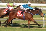 Jason Holder back on Red Eclipse in Penny Edition Stakes Jason Holder back on Red Eclipse in Penny Edition Stakes