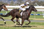 Drop in weight to help Scherzoso’s chances in Ballarat Cup Drop in weight to help Scherzoso’s chances in Ballarat Cup