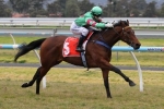 Light It Up Gets Group 1 Opportunity In The Goodwood Light It Up Gets Group 1 Opportunity In The Goodwood