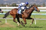 Kushadasi To Make Melbourne Debut In The CS Hayes Stakes