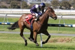 Winterbottom Stakes winner Viddora could target the Everest
