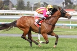 Weight-For-Age Conditions Not Ideal For Starkiato Weight-For-Age Conditions Not Ideal For Starkiato