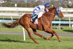 Jolly Expecting Improved Performance From Karacatis In The Goodwood Jolly Expecting Improved Performance From Karacatis In The Goodwood