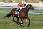 Star Rolling To Take A Sit In The Australian Cup Star Rolling To Take A Sit In The Australian Cup