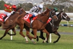 Provocative gains a start in Queensland Oaks