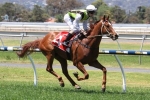 Jim’s Journey on track for 2017 Adelaide Cup Jim’s Journey on track for 2017 Adelaide Cup