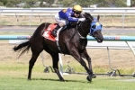 Boristar to return to Flemington in Chester Manifold Stakes Boristar to return to Flemington in Chester Manifold Stakes