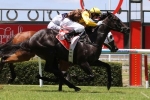 Support Continues For Fawkner In Makybe Diva Stakes Betting Support Continues For Fawkner In Makybe Diva Stakes Betting