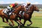 Beshara Unsure Whether Happy Trails Can Win Orr Stakes Beshara Unsure Whether Happy Trails Can Win Orr Stakes