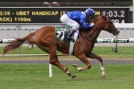 Moqla chasing Black Type Success in Dequetteville Stakes Moqla chasing Black Type Success in Dequetteville Stakes