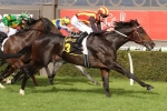 Railway Stakes failure Peaceful State unlikely to run in Kingston Town Classic