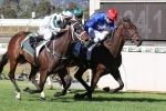 Conditions Ideal for Flying Jess in Magic Millions 3YO Guineas