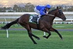 Melbourne Cup hopeful Howard Be Thy Name Bendigo Cup No. 1