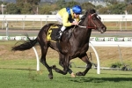 Lite’n In My Veins could emulate Northerly in Railway Stakes Lite’n In My Veins could emulate Northerly in Railway Stakes