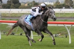 Macdonald wanting wet track for Daytona Grey in Bletchingly Stakes