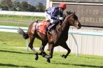 Portelli Has Three-Pronged Attack in Magic Millions Portelli Has Three-Pronged Attack in Magic Millions
