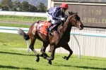 Portelli Has Three-Pronged Attack in Magic Millions