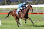 Kavanagh Makes His Mark In Sydney Kavanagh Makes His Mark In Sydney