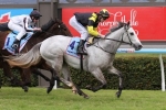 Words Are Weapons To Defend Unbeaten Record In Lightning Stakes