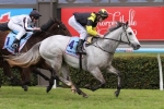 Words Are Weapons To Defend Unbeaten Record In Lightning Stakes Words Are Weapons To Defend Unbeaten Record In Lightning Stakes