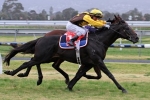 Cox Plate hopeful Alpine Eagle ready to trial