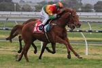 Spring Stakes 2015: Wet Track A Concern For Happy Trails Spring Stakes 2015: Wet Track A Concern For Happy Trails