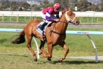 Eclair Samba gets Adelaide Cup warm up in Lord Reims Stakes