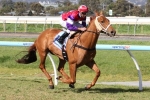 Eclair Samba gets Adelaide Cup warm up in Lord Reims Stakes Eclair Samba gets Adelaide Cup warm up in Lord Reims Stakes
