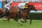 Lord Esprit Capable Of Straight Track Success