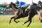 Hobartville Stakes Return Slated for Sweynesse