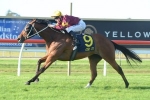 Fine Bubbles provides home town victory in Tibbie Stakes