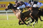 Waterhouse Happy With JRA Plate Duo Waterhouse Happy With JRA Plate Duo