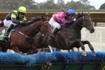 Dry Track Key For Beer Garden In Galleywood Hurdle Dry Track Key For Beer Garden In Galleywood Hurdle