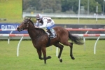 Aeronautical Confirmed For The Gilgai Stakes