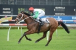 My Kingdom Of Fife the forgotten horse in George Ryder Stakes My Kingdom Of Fife the forgotten horse in George Ryder Stakes