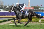 Farley Happy With Sincero Ahead Of Premiere Stakes Return Farley Happy With Sincero Ahead Of Premiere Stakes Return