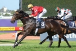 2013 Villiers Stakes: Cummings Confident Strike The Stars Can Return To His Best Form
