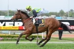 Manawanui Banned from Racing after Second Bleeding Attack Manawanui Banned from Racing after Second Bleeding Attack