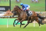 Belle Of The Turf Stakes Ideal for Anisha