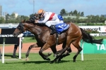 Extra distance to suit Mardi in Ranvet Handicap