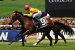 Berry Rates Fighting Sun A Golden Slipper Contender Berry Rates Fighting Sun A Golden Slipper Contender