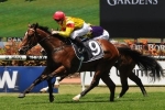 Berry Rates Fighting Sun A Golden Slipper Contender