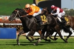 Mecir can cause upset win in Festival Stakes