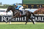 2017 Doomben 10,000 Day Preview & Tips 2017 Doomben 10,000 Day Preview & Tips