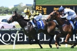 Teaspoon still in the mix for Golden Slipper and Blue Diamond Stakes Teaspoon still in the mix for Golden Slipper and Blue Diamond Stakes